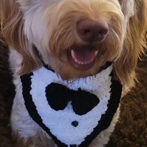 Handmade Shimmer Tuxedo Bandana for Pets